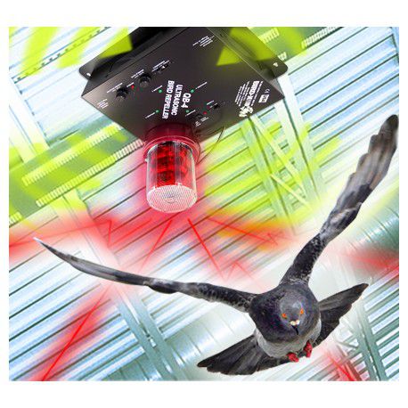 repulsif oiseaux QuadBlaster QB-4